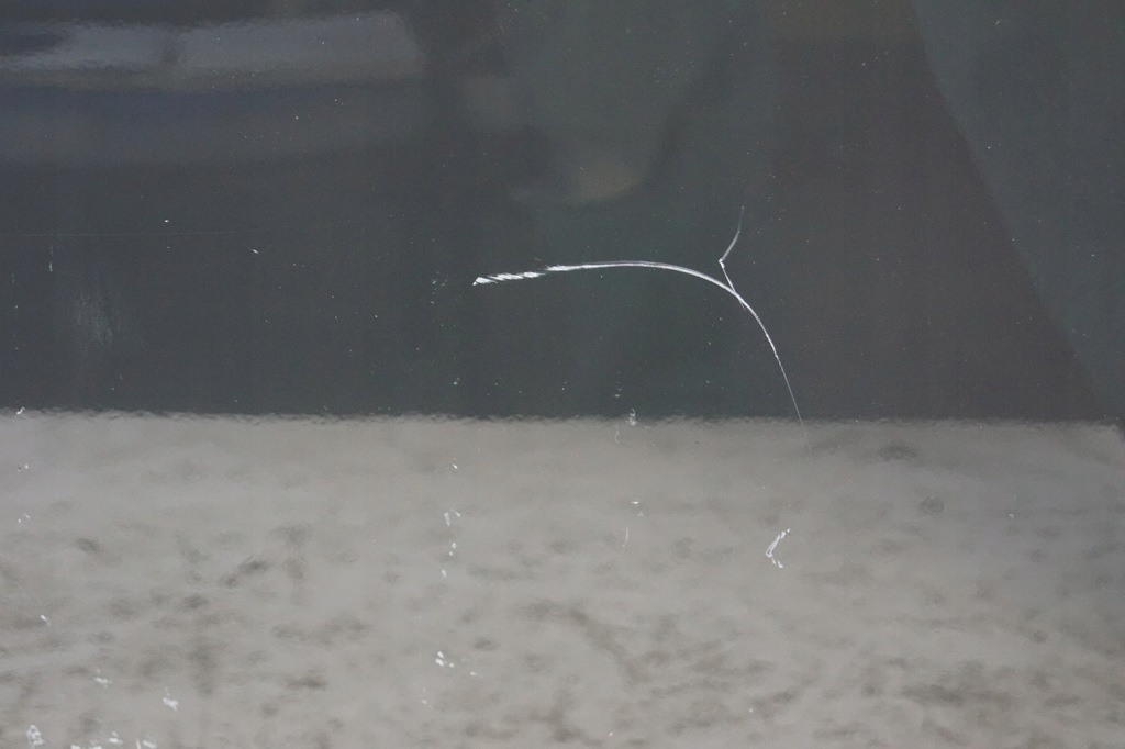 фото №10, Двері лівий задня lexus is ii is220 is250