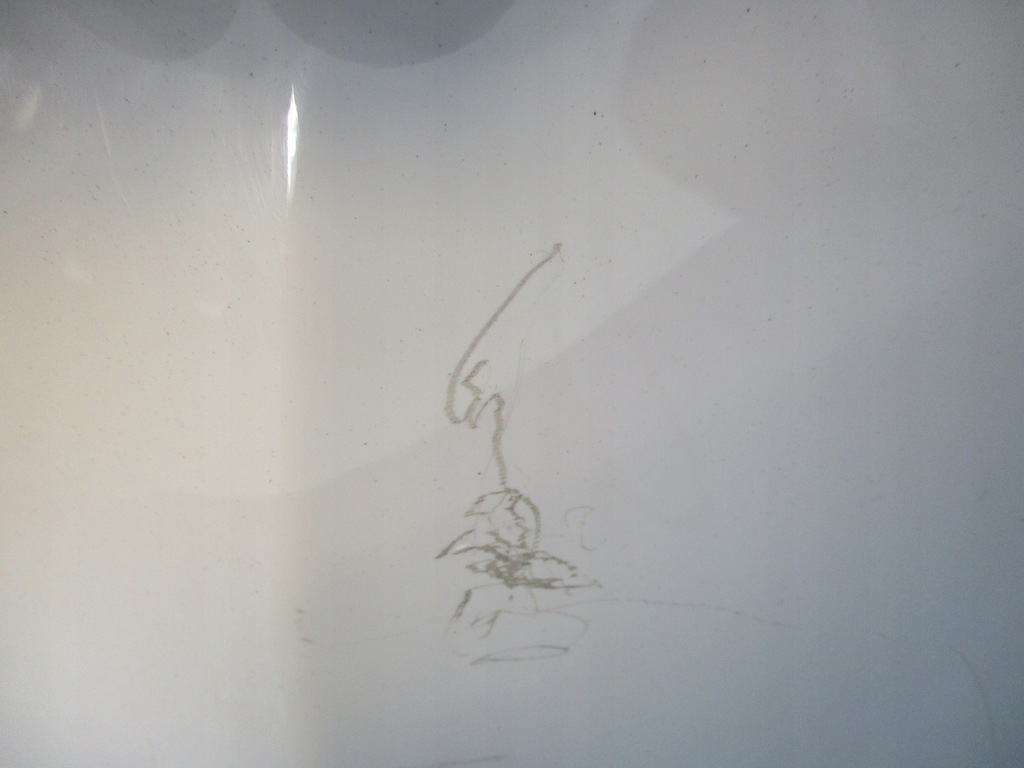 фото №7, Крила лівий передній перед chevrolet aveo t300