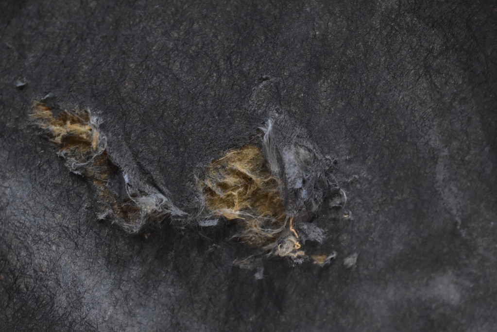 фото №16, Капот кришка двигуна y66p honda jazz 2 ii 07-11