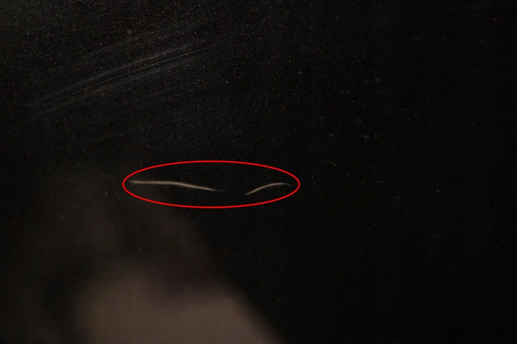 фото №7, Land rover range rover sport l494 2016 перед сторона права крила передній