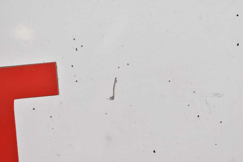 фото №9, Двері ліва перед передні білий citroen berlingo 2 ii 08-12