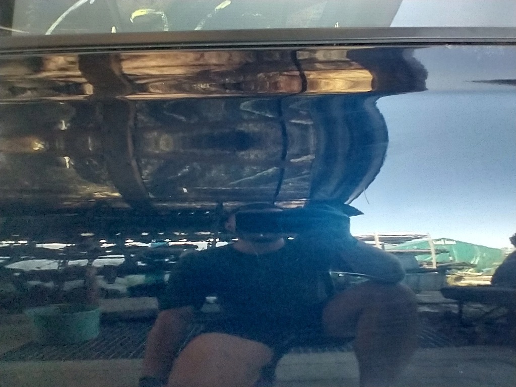 фото №11, Nissan qashqai i j10 двері лівий задня ліва задні повний