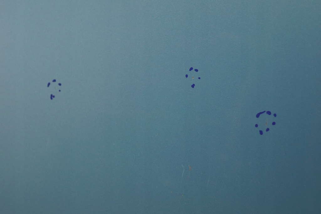 фото №13, Дверь левый перед subaru justy iv 07- b57