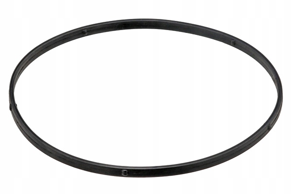 фото №2, Elring 004.030 прокладка, термостат