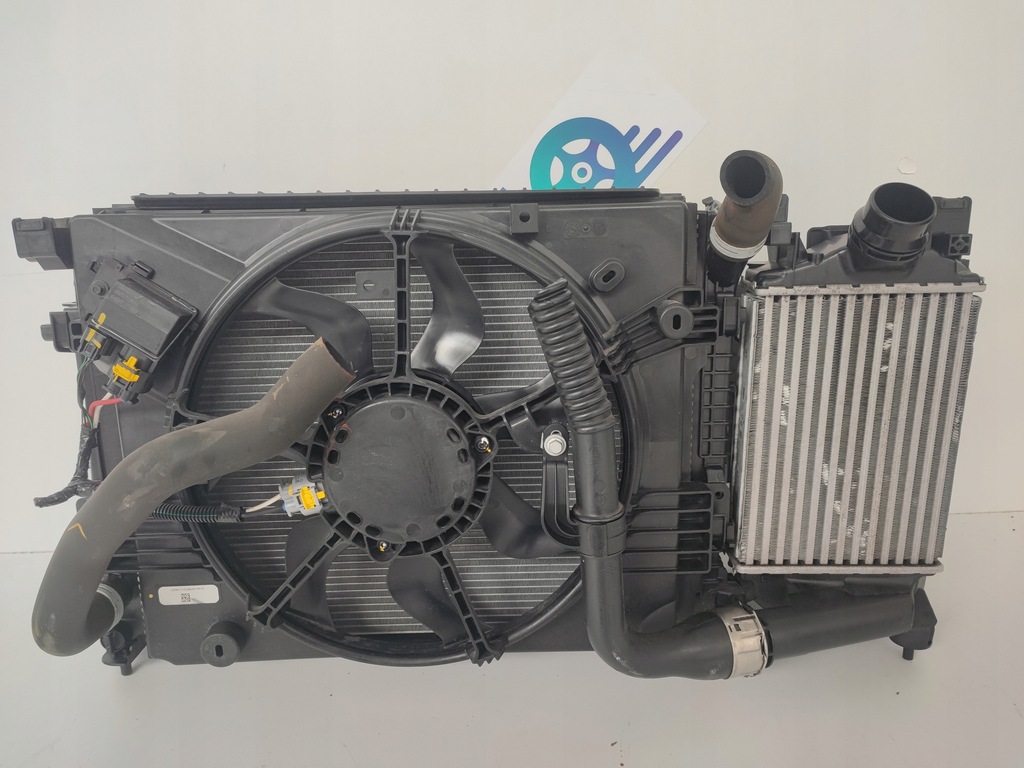 фото №13, Pas передній радіатор жалюзі dacia sandero / stepway iii 3