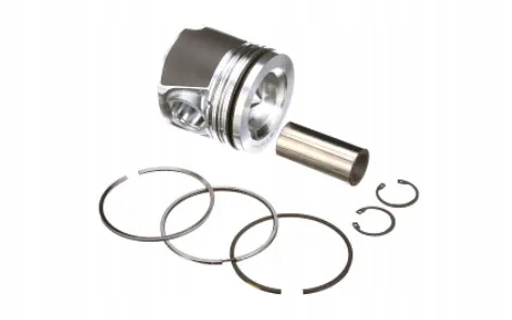 фото №1, Модуль поршня +0.4 fpt