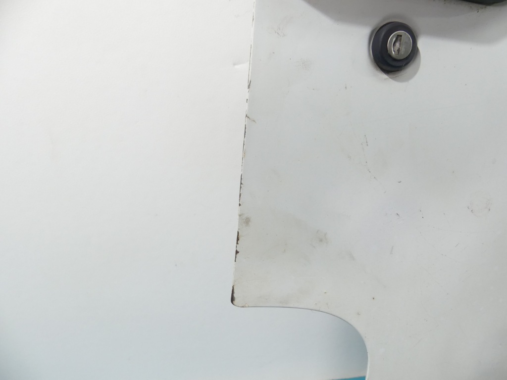 фото №8, Дверь перед правое iveco daily iv 06-11