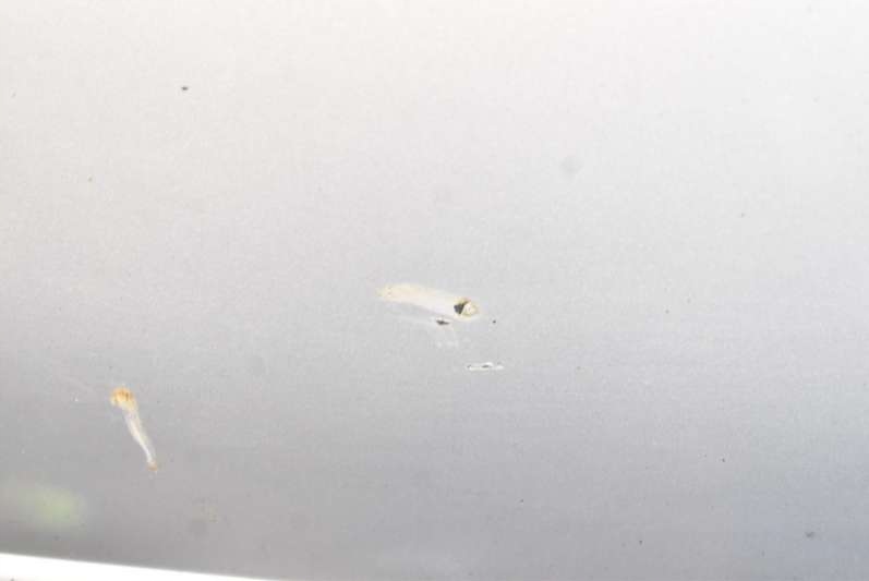 фото №11, Бампер задняя задний kl0 nissan almera tino lift 03-06