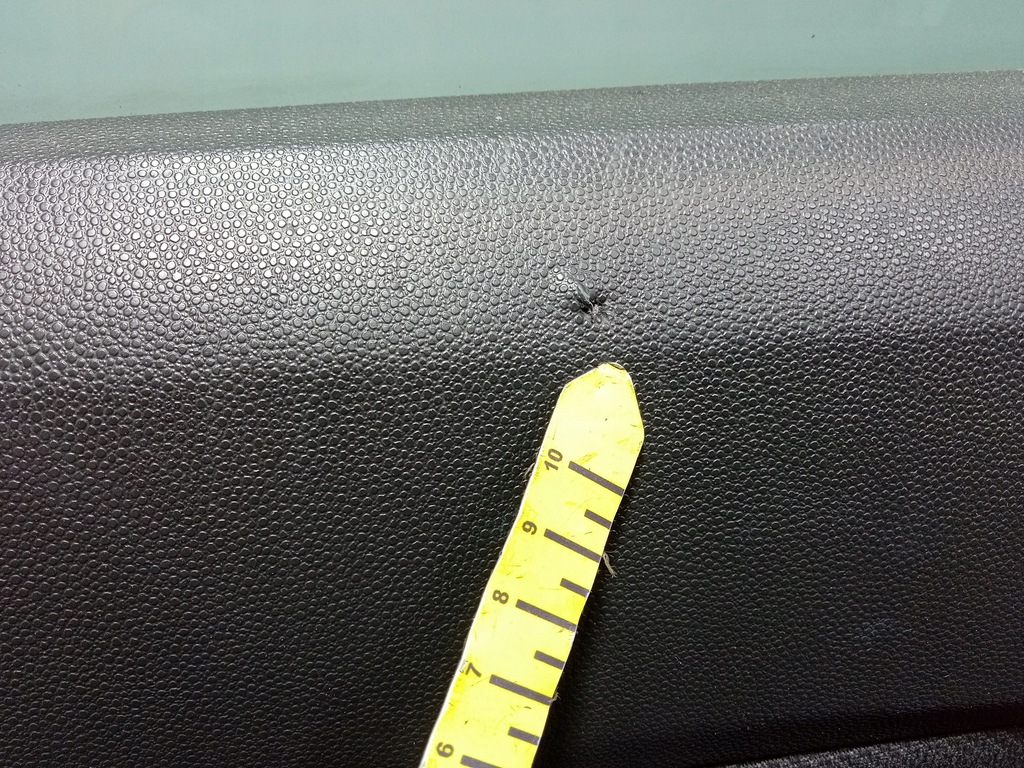 фото №12, Opel astra h kombi двері задня ліва 10u