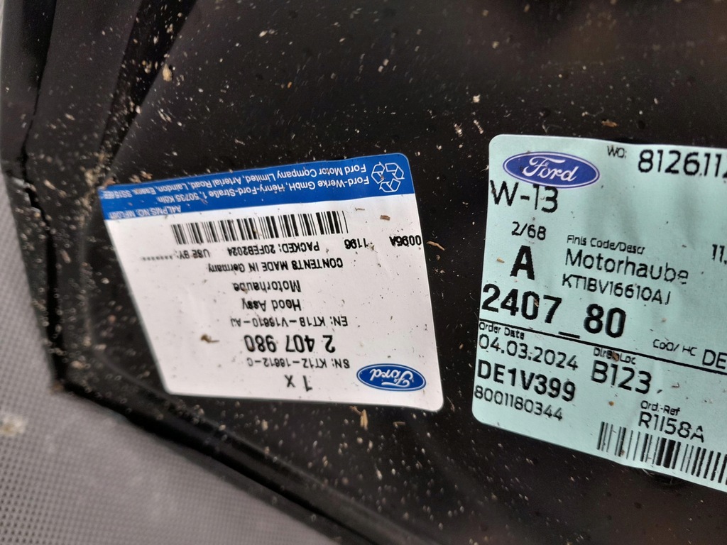 фото №10, Ford toureno connect lift 18- капот перед передня oryg