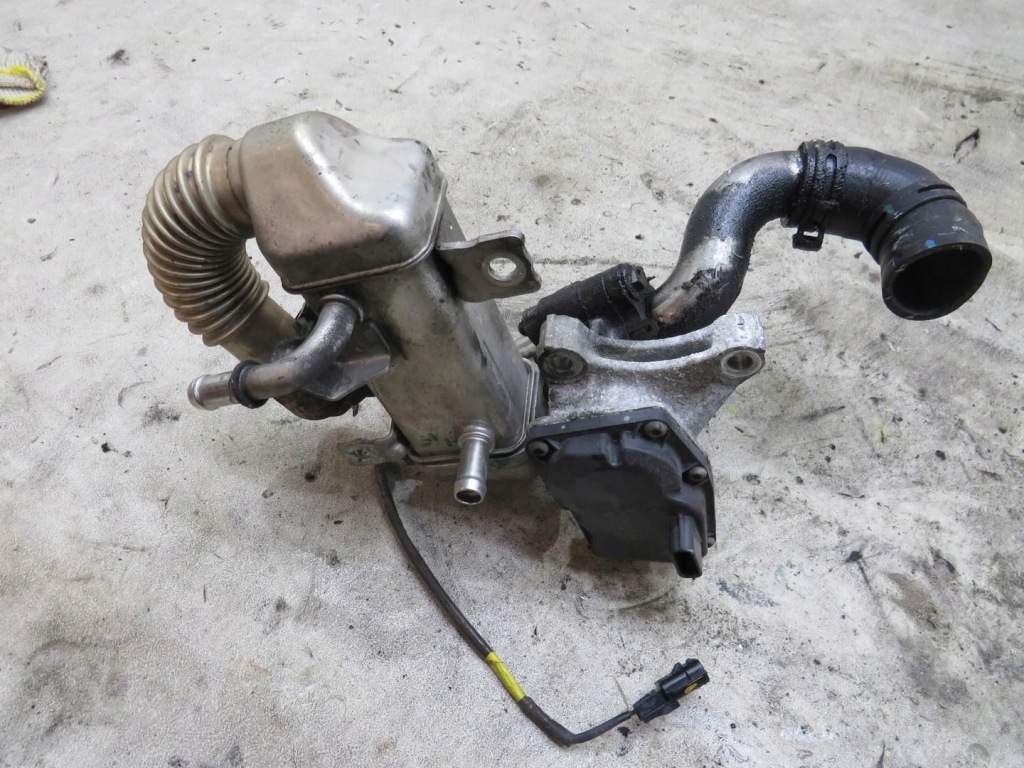 Купить Клапан egr qashqai j10 1.6 dci 147100789r