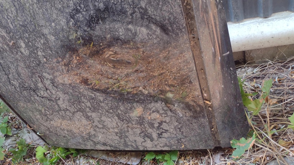 фото №10, Porsche panamera 970 lift крыша люк