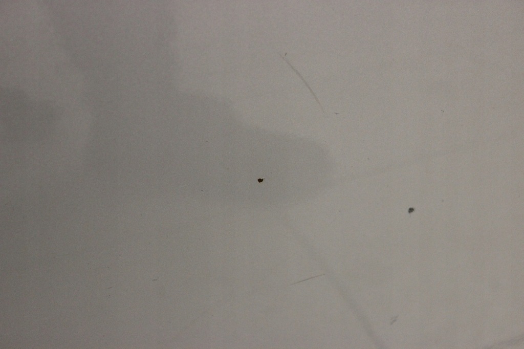 фото №8, Bmw 5 e61 03r- двері праве задні правий задня 354