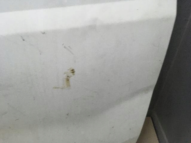 фото №12, Дверь сдвижные левая fiat doblo opel combo