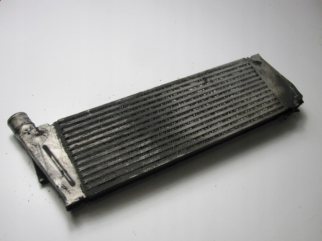 фото №1, Інтеркулер renault megane scenic ii 1.9tdi 04r