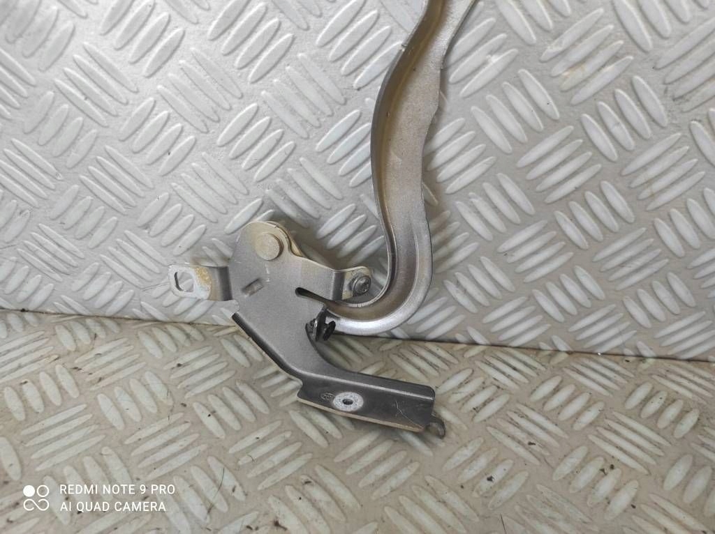 фото №1, Fiat scudo iii toyota proace ii петли капот левый перед evl psa 823133980