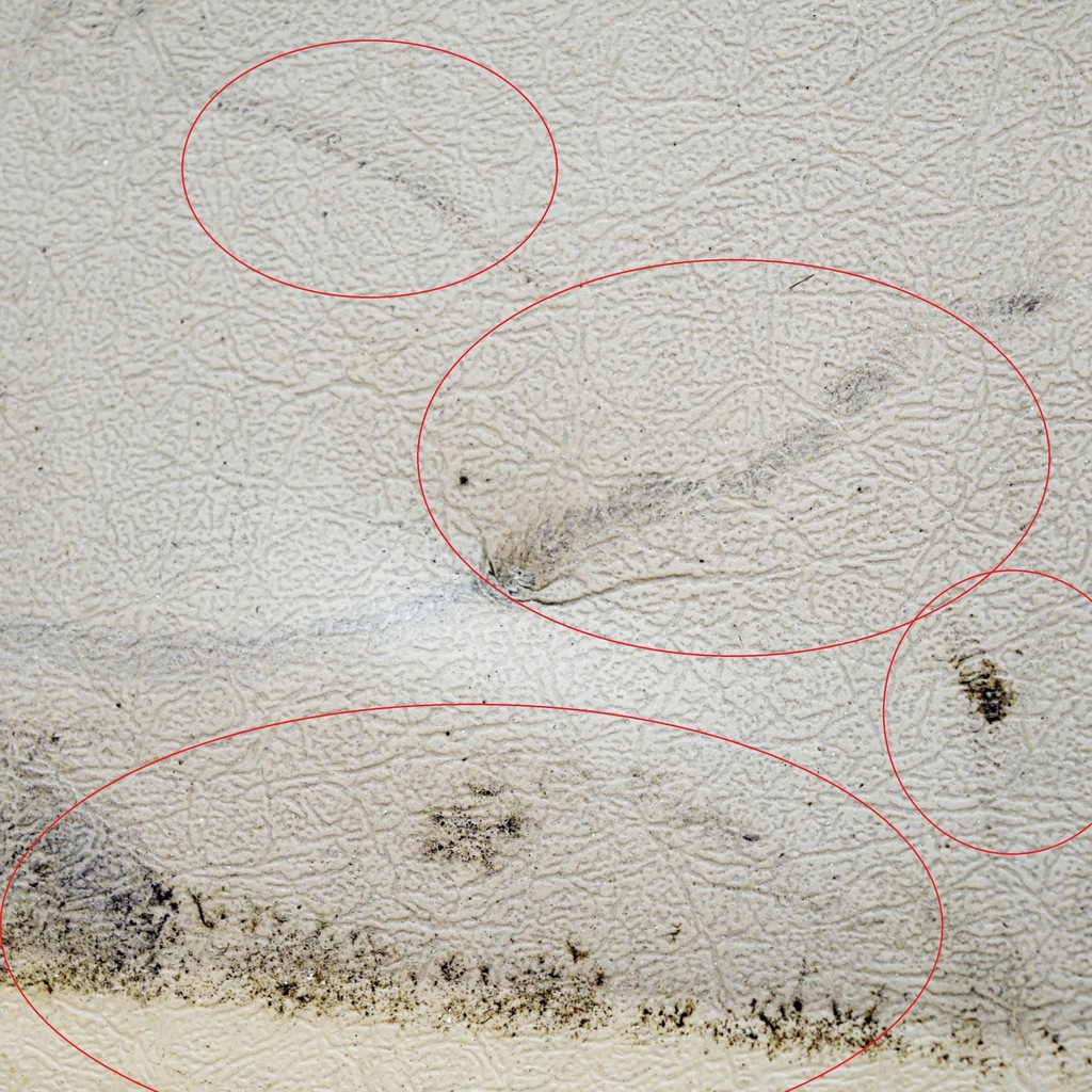 фото №5, Jaguar xj x40 1993 полка задняя багажника