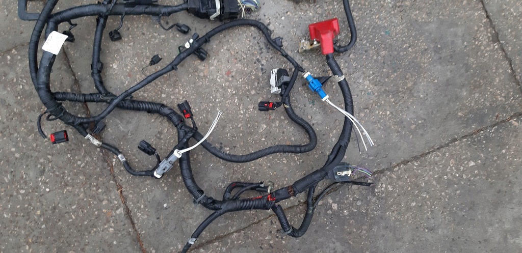 фото №5, Жгут двигателя lincoln mkx 2009r 3.5 электропроводка