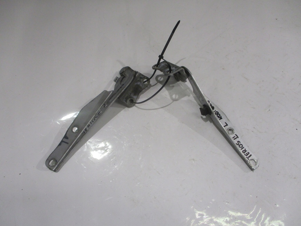 фото №1, Петля петлі капот terios ii 06- s28