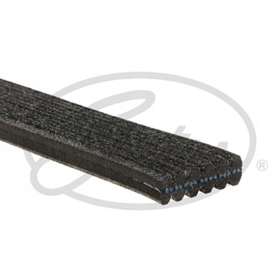Купить Gates ремень многоручьевой 6dpk1195