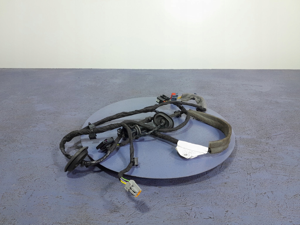 фото №1, Volvo xc60 ii електропроводка джгут двері лівий задня 31676180