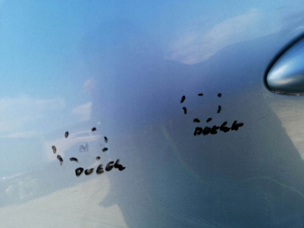 фото №9, Двері ліва перед renault grand scenic iii terpa