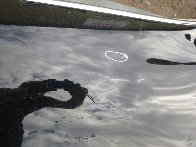 фото №8, Дверь левый задняя kadjar полный