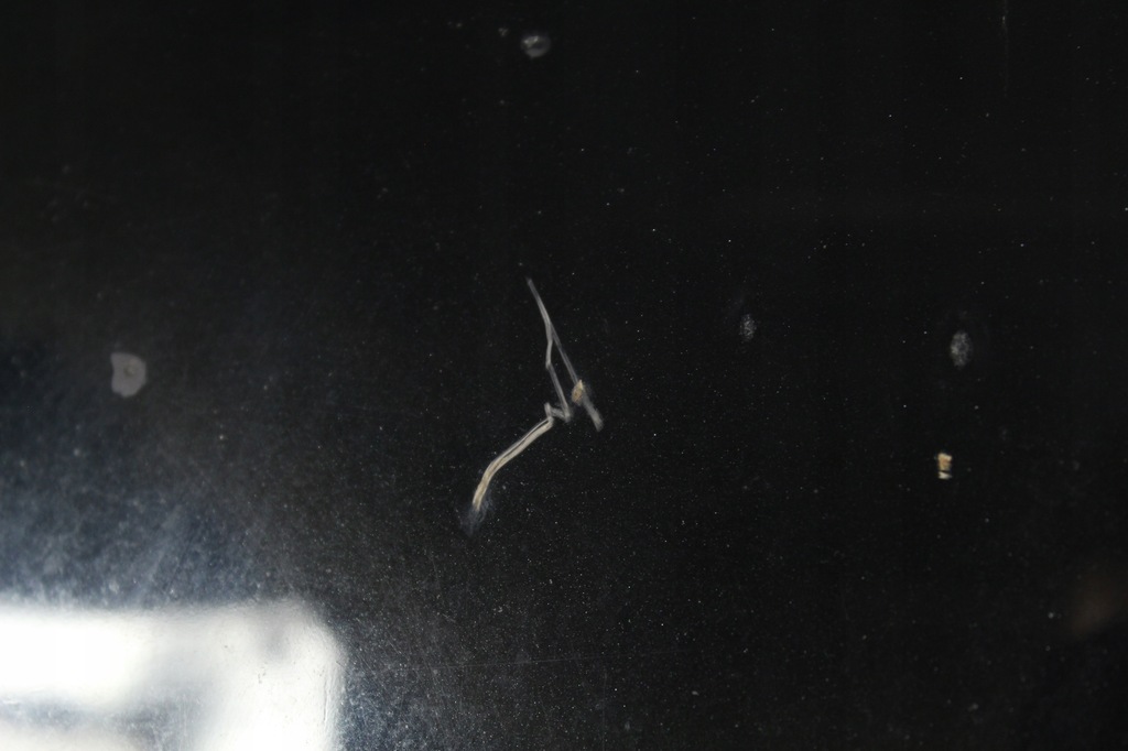 фото №7, Капот кришка двигуна leon i toledo ii 99-05