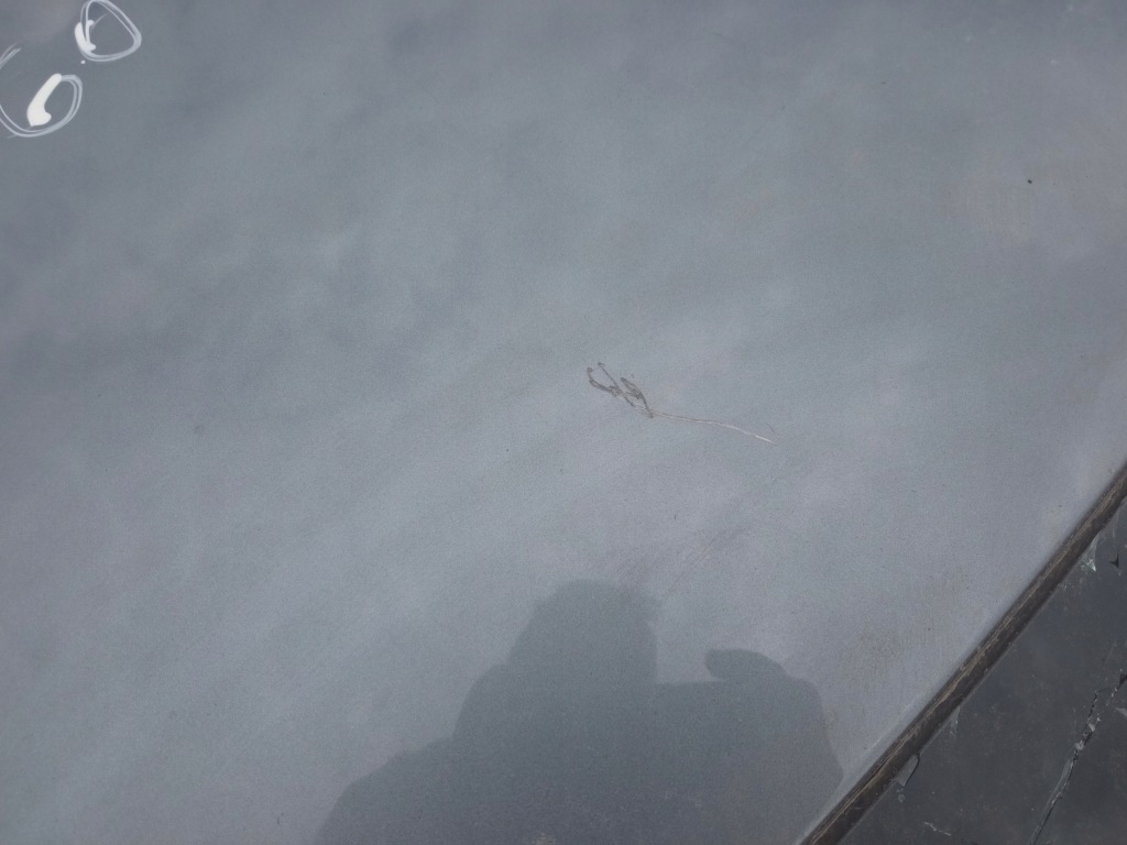 фото №3, Volvo v60 ii крыша обшивка