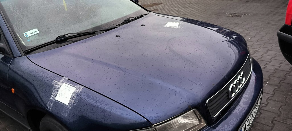 фото №11, Капот lz5k audi a4 b5