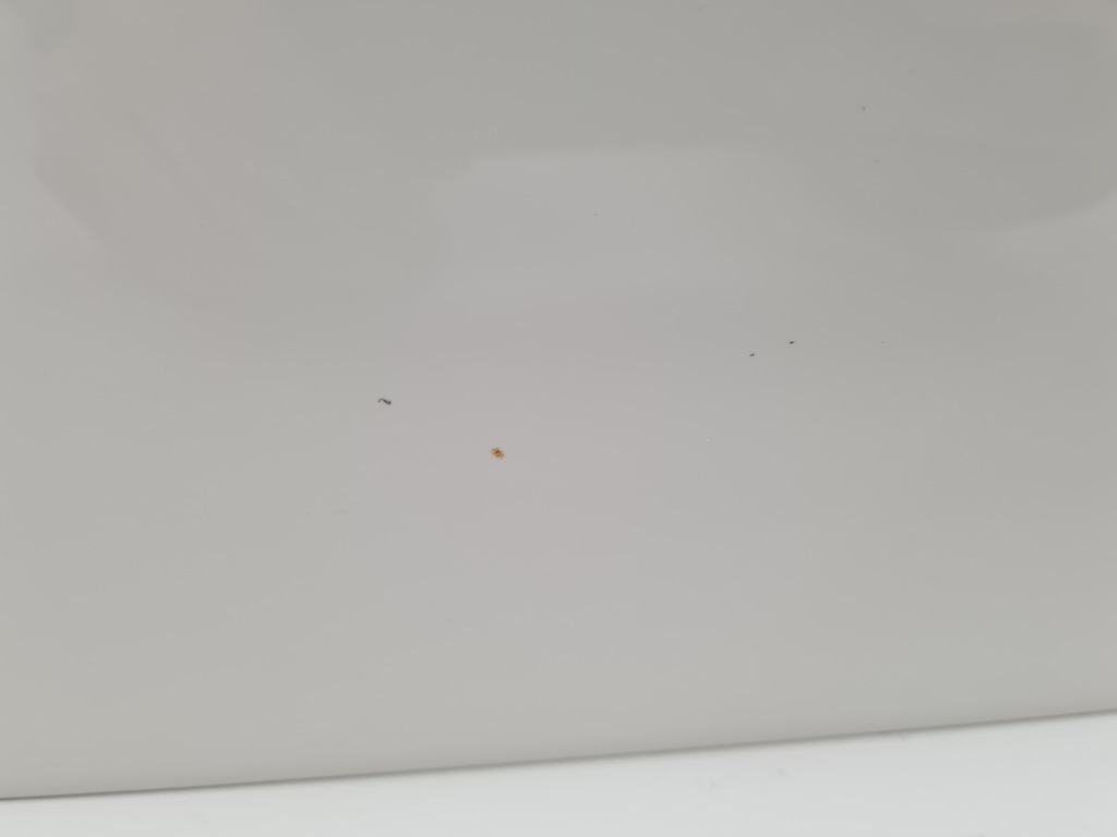 фото №10, Mercedes b-klasa w246 дверь левый задняя 650