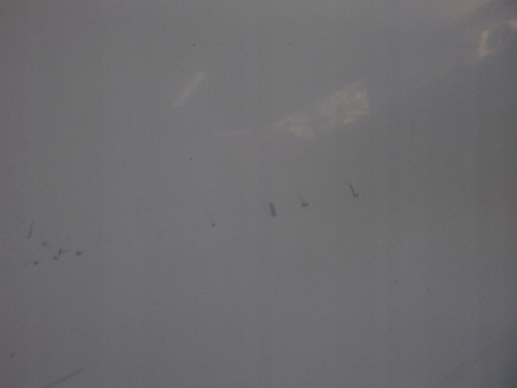 фото №8, Trafic vivaro ii 01- дверь сдвижные левая боковой