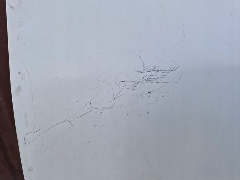 фото №8, Fiat doblo ii 2 maxi дверь левый перед левая передние