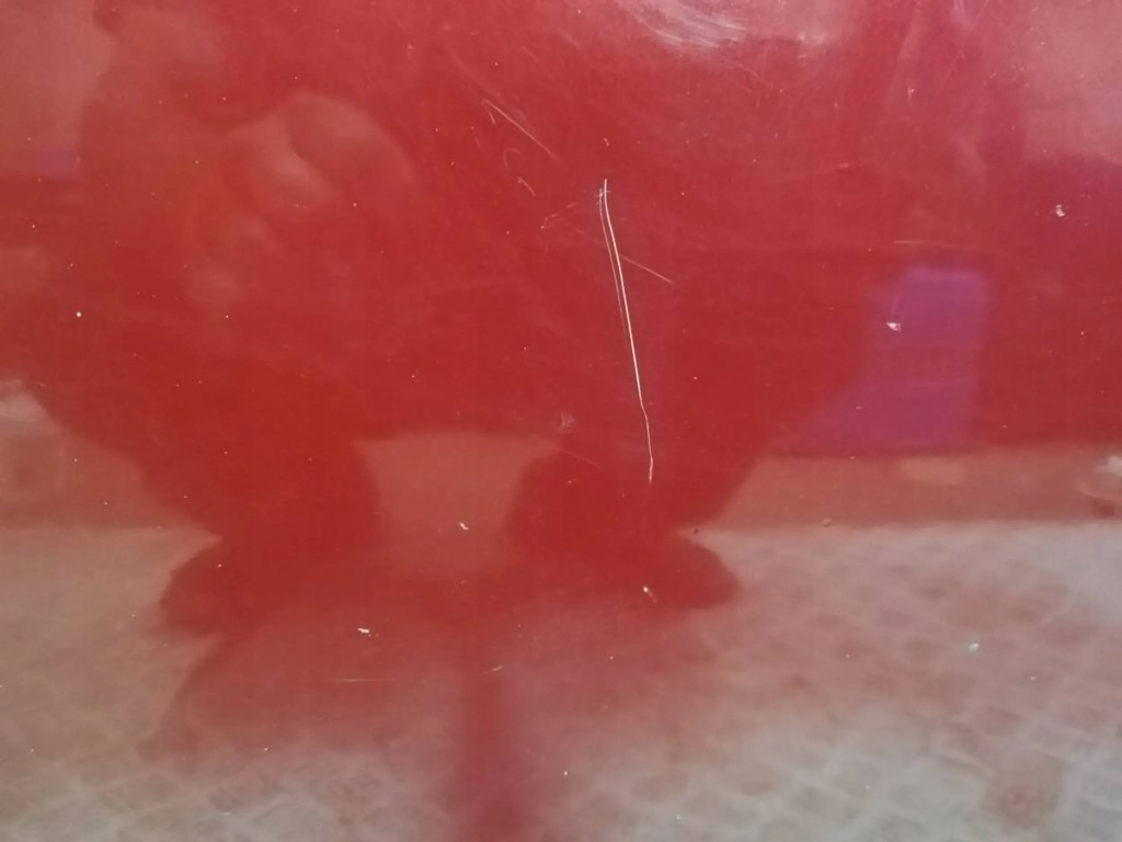 фото №5, Дверь передние правое renault megane iii cc cabrio tennj