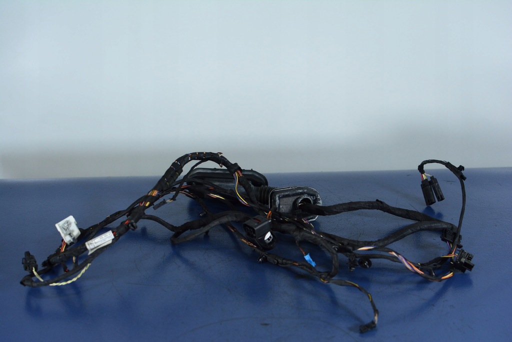 фото №1, Bmw 6 f13 электропроводка жгут дверь левых