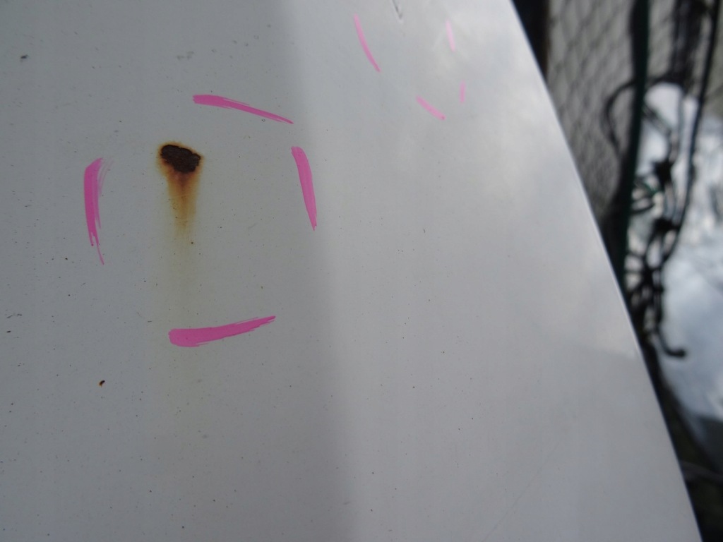 фото №4, Citroen nemo двері лівий перед ліва передні