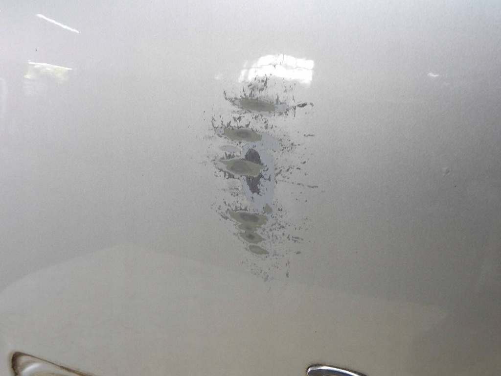 фото №7, Renault grand scenic iii 09-16 ted69 крышка багажника багажника задняя задняя