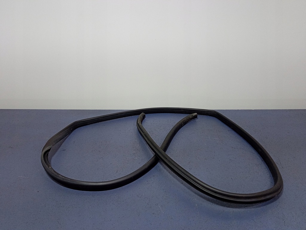 фото №1, Hyundai terracan прокладка двері лівий задня