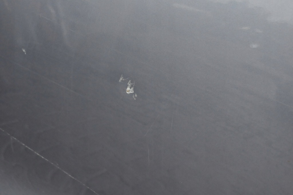 фото №6, Land rover discovery l462 дверь левый задняя задние