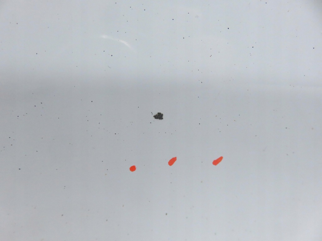 фото №11, Кришка багажника багажника kia sportage iii wd