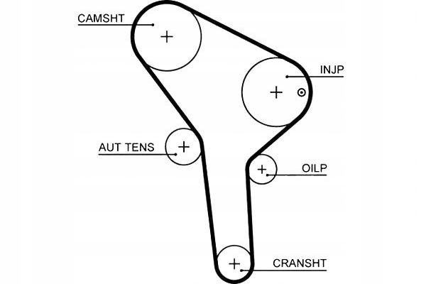 фото №14, Gates 5564xs ремень распределительного вала