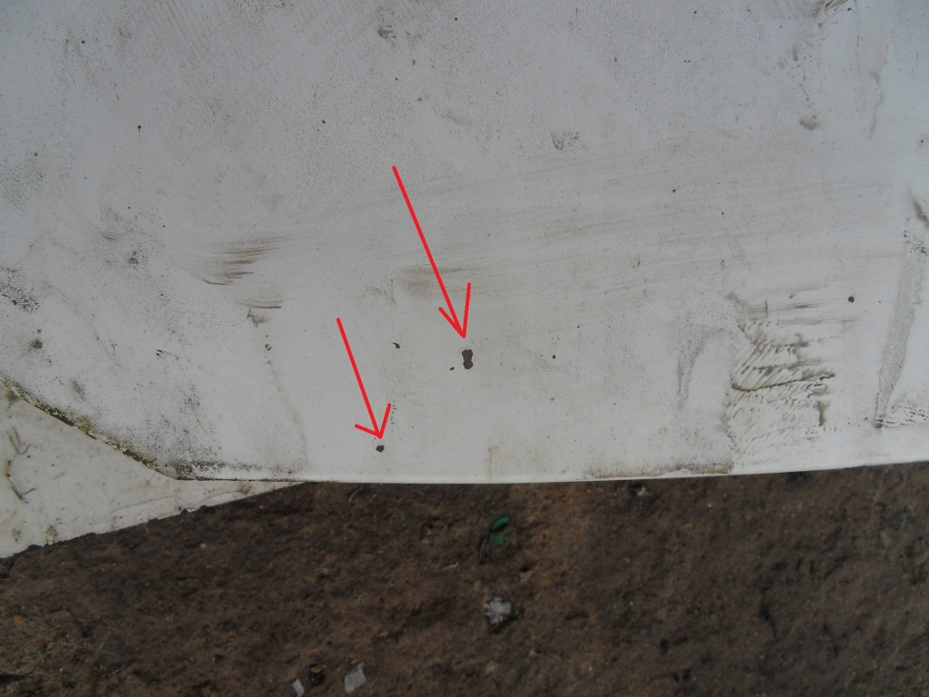 фото №8, Expert ii 06-16 капот передняя перед белый ewpa