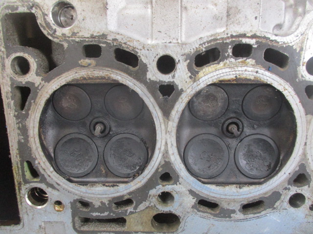 фото №6, Nissan almera n16 1.5 16v головка bm5 ukr1