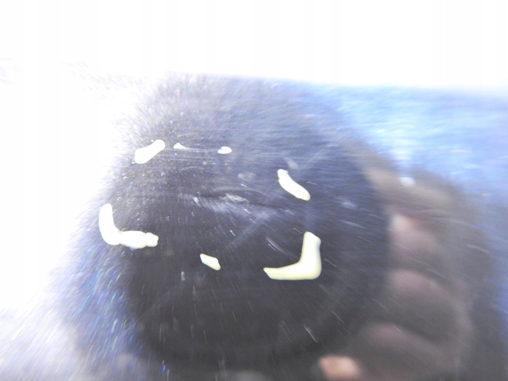 фото №6, Бампер задній задня lz9y audi a4 b7 avant