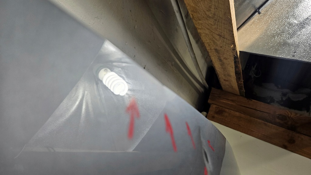 фото №5, Капот кришка двигуна audi a4 b9 8w оригінальна