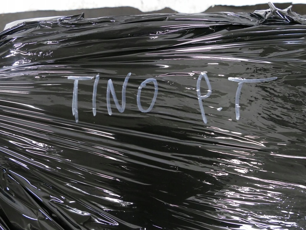 фото №8, Nissan almera tino сиденье правый задняя задний