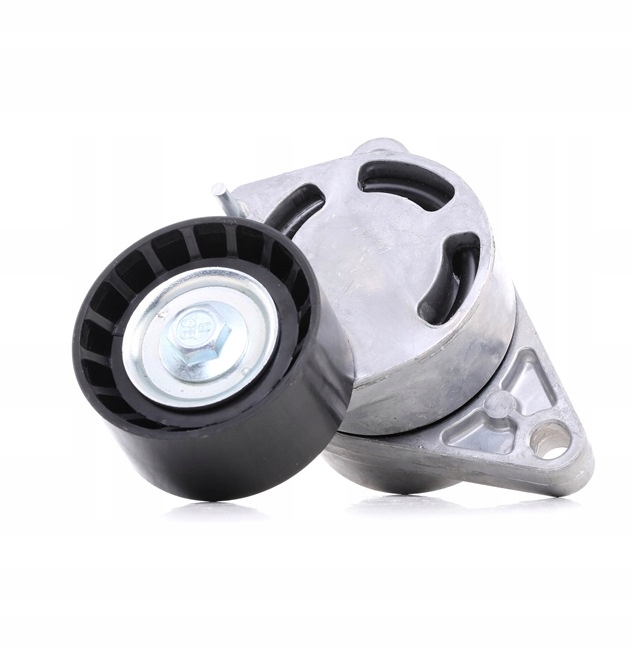 Ridex 310t0062 ролик натягувача ремінь клиновий багатореберний do volvo fmx в Україні