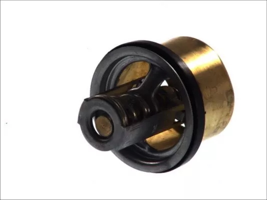 фото №1, Thermotec d2rv002tt термостат, середина охолоджуючий