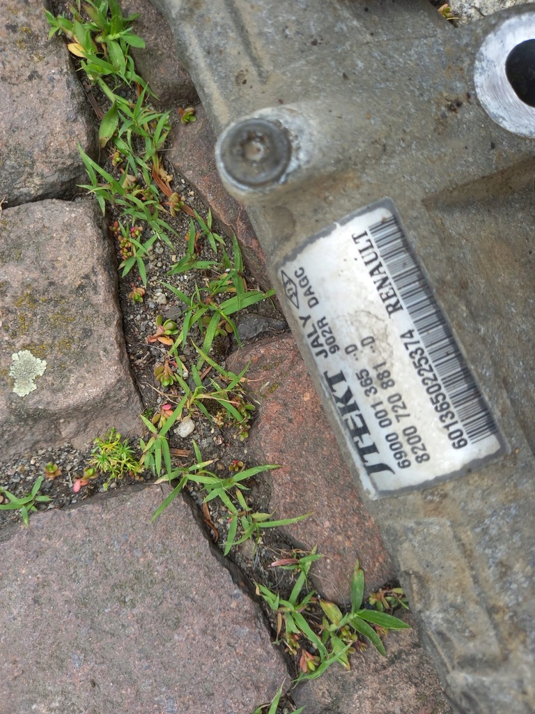 фото №4, Трансмиссия рулевая рейка dacia logan 1.5 dci 8200720881d