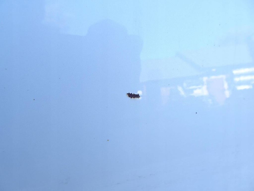 фото №6, Дверь левый перед honda civic ix 12-17 r. nh788p